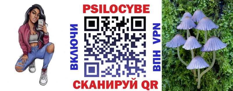 Галлюциногенные грибы Psilocybe Агидель