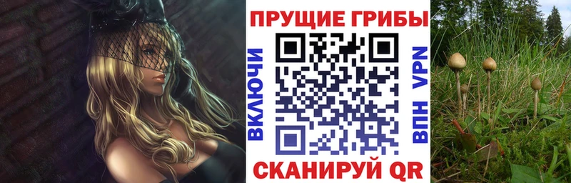 Галлюциногенные грибы прущие грибы  OMG вход  Агидель  наркотики 